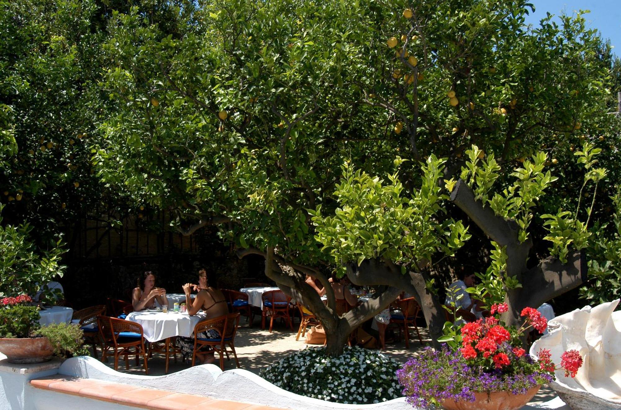 Hotel San Felice Capri Zewnętrze zdjęcie